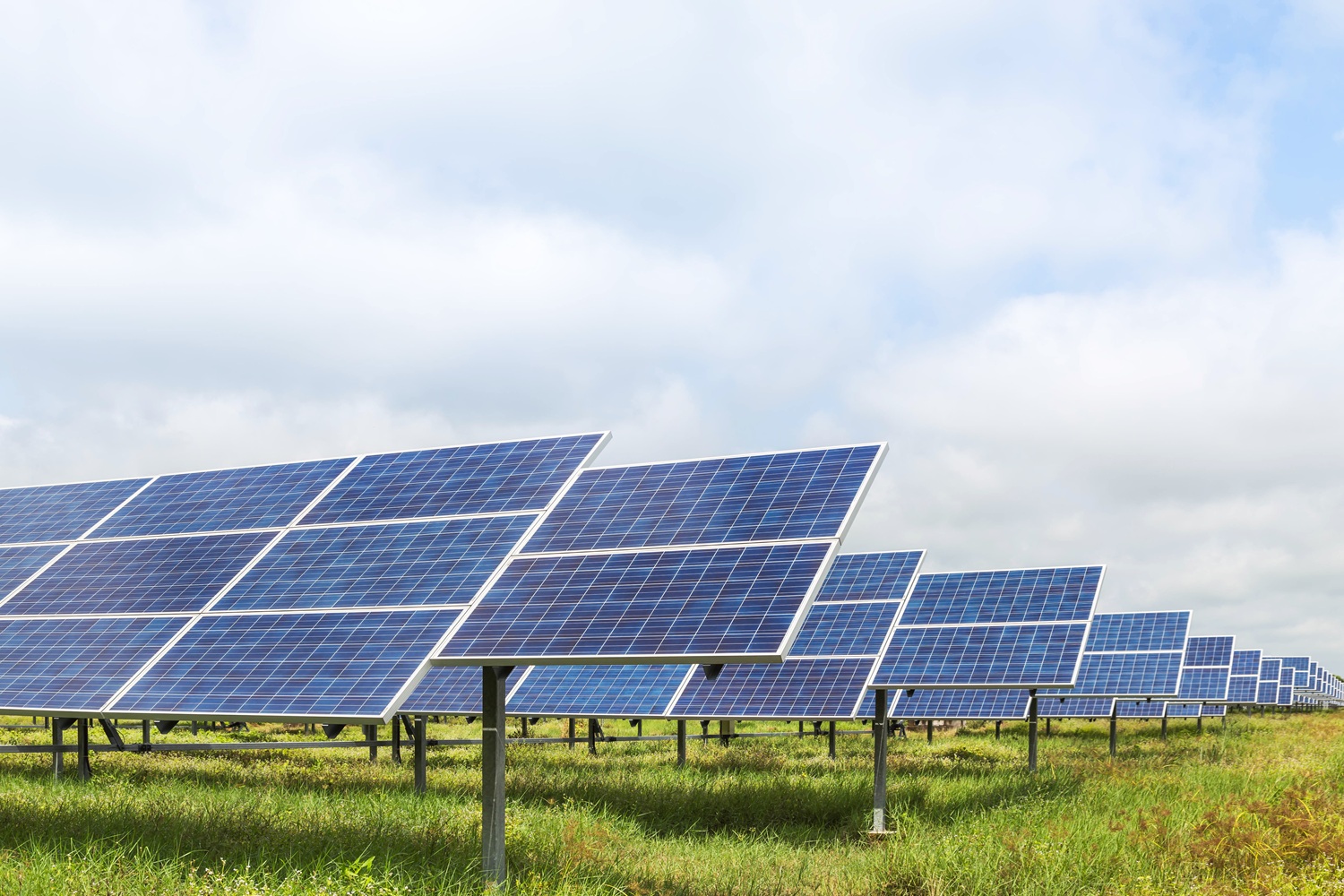 solar panels  photovoltaics in solar farm