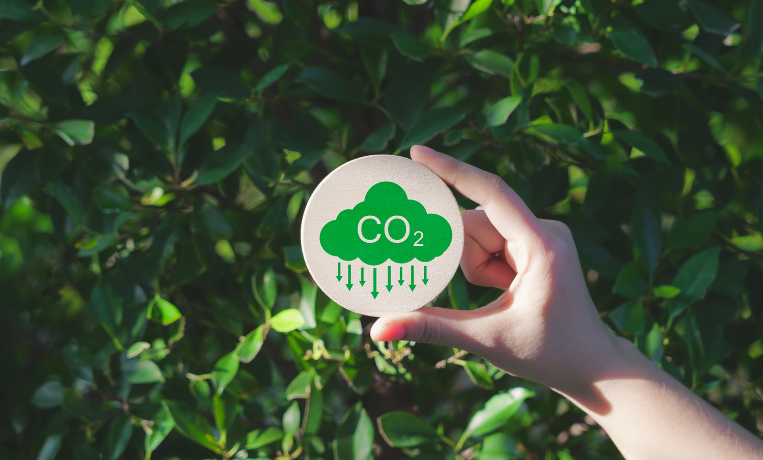 Reduce CO2 emission concept. A hand holds a green CO2 emissions symbol, representing carbon footprint awareness, net zero, and carbon neutrality. Climate change, Global warming, Greenhouse gas,