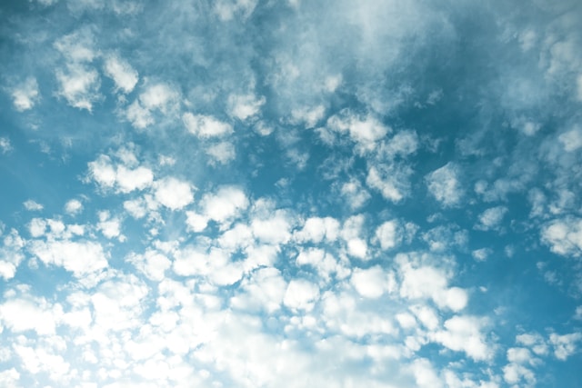 tim-foster-_p4P_ua9W_E-unsplash