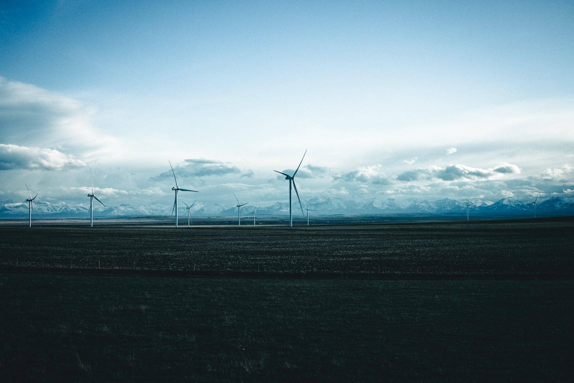 ali-kazal-zyFHhkpLB7g-unsplash