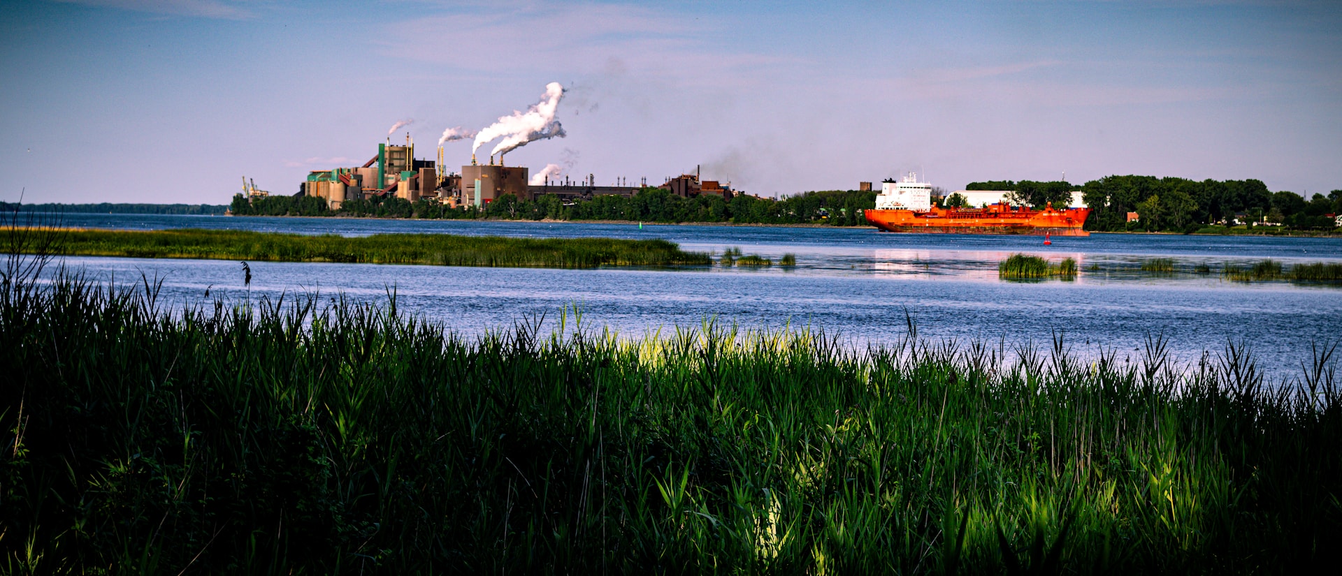 nail-ovic-nBAnAfO0DNg-unsplash