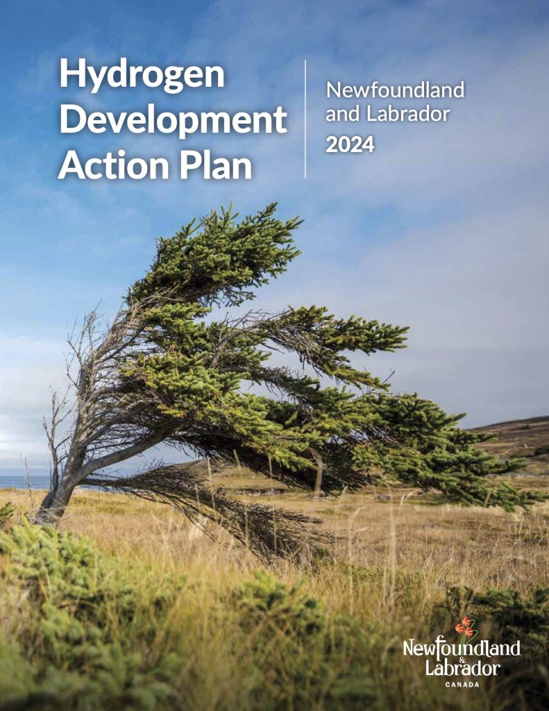 Hydrogen-Development-Action-Plan-791×1024