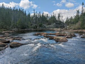 River in Newfoundland