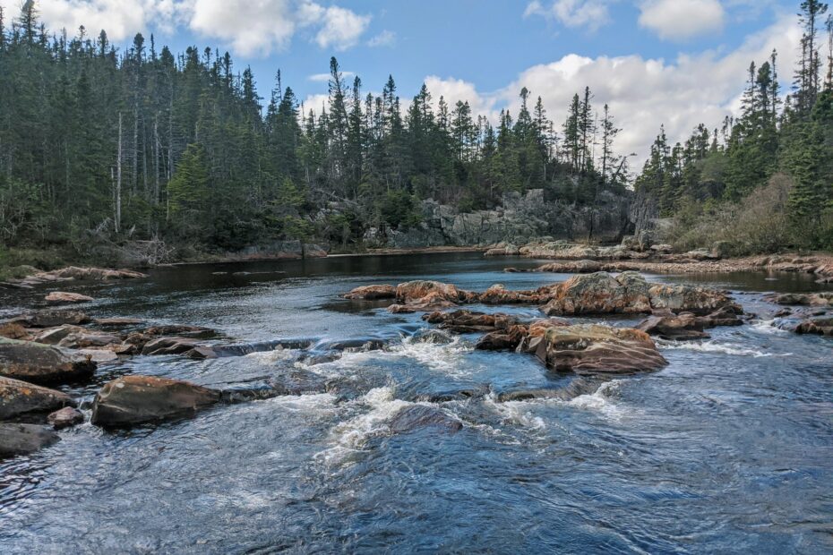 River in Newfoundland